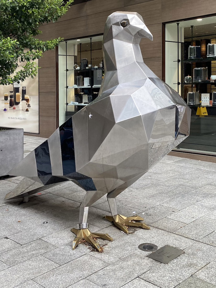 mallpigeon