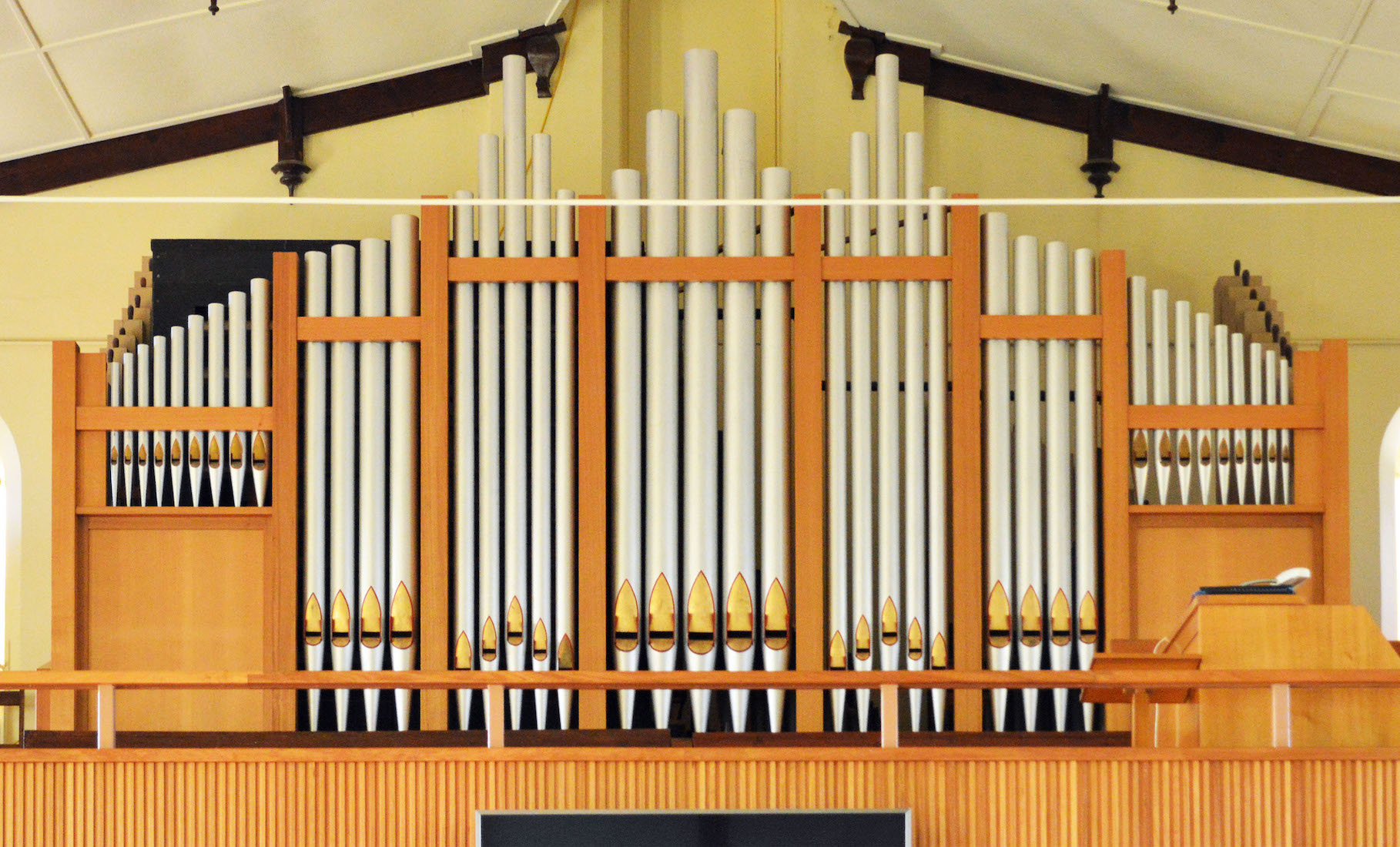 Organ