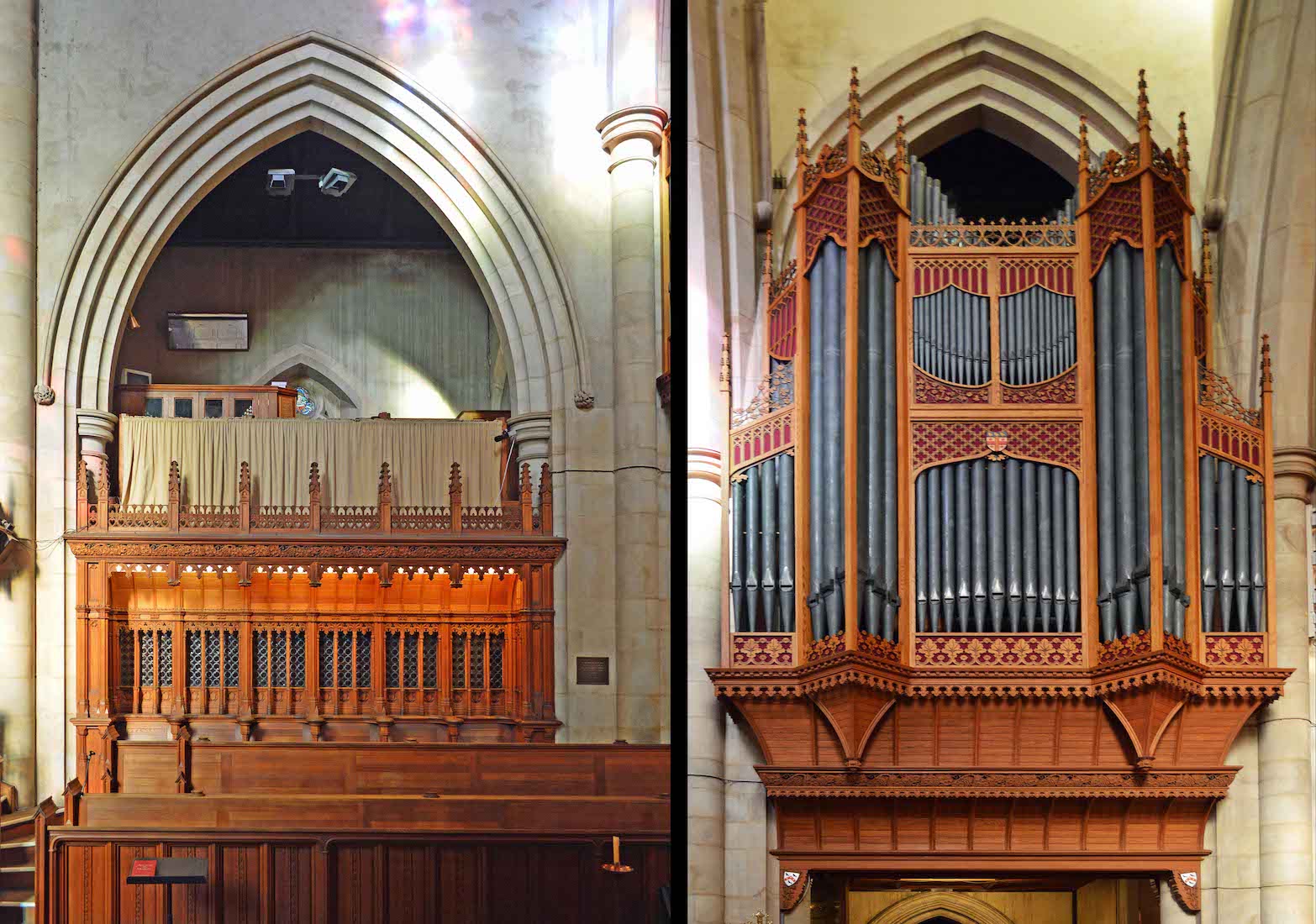 Organ