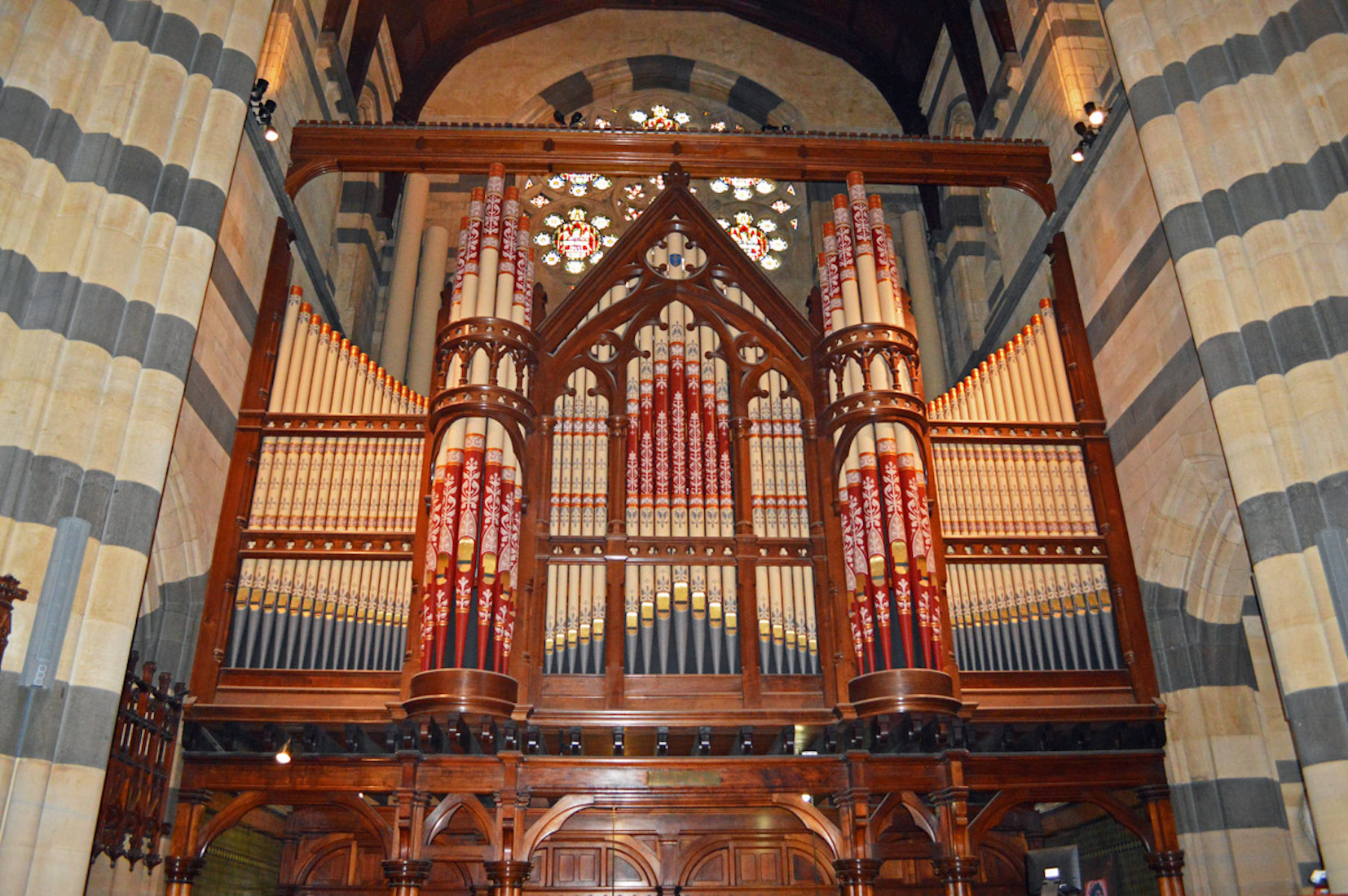 Organ