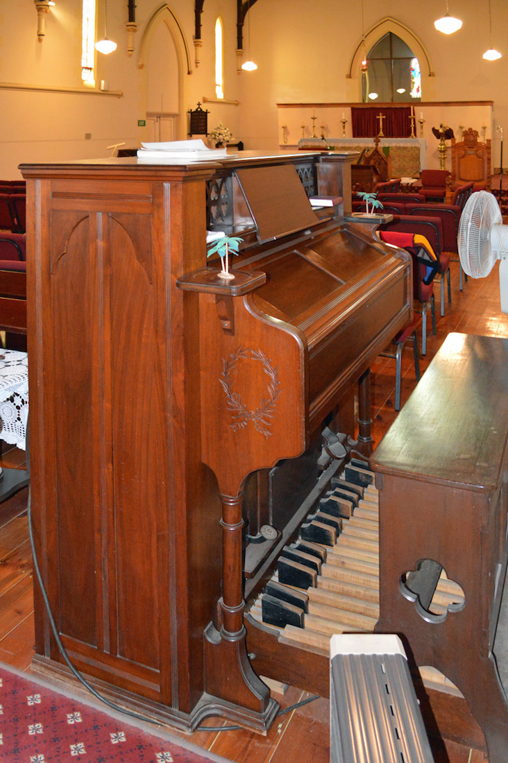 Organ