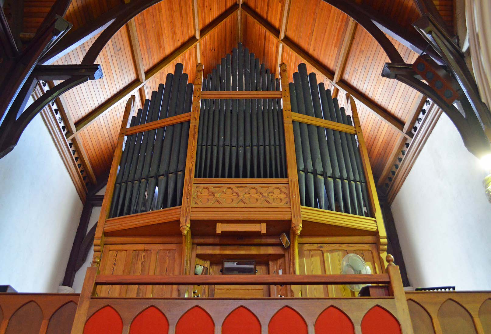 Organ