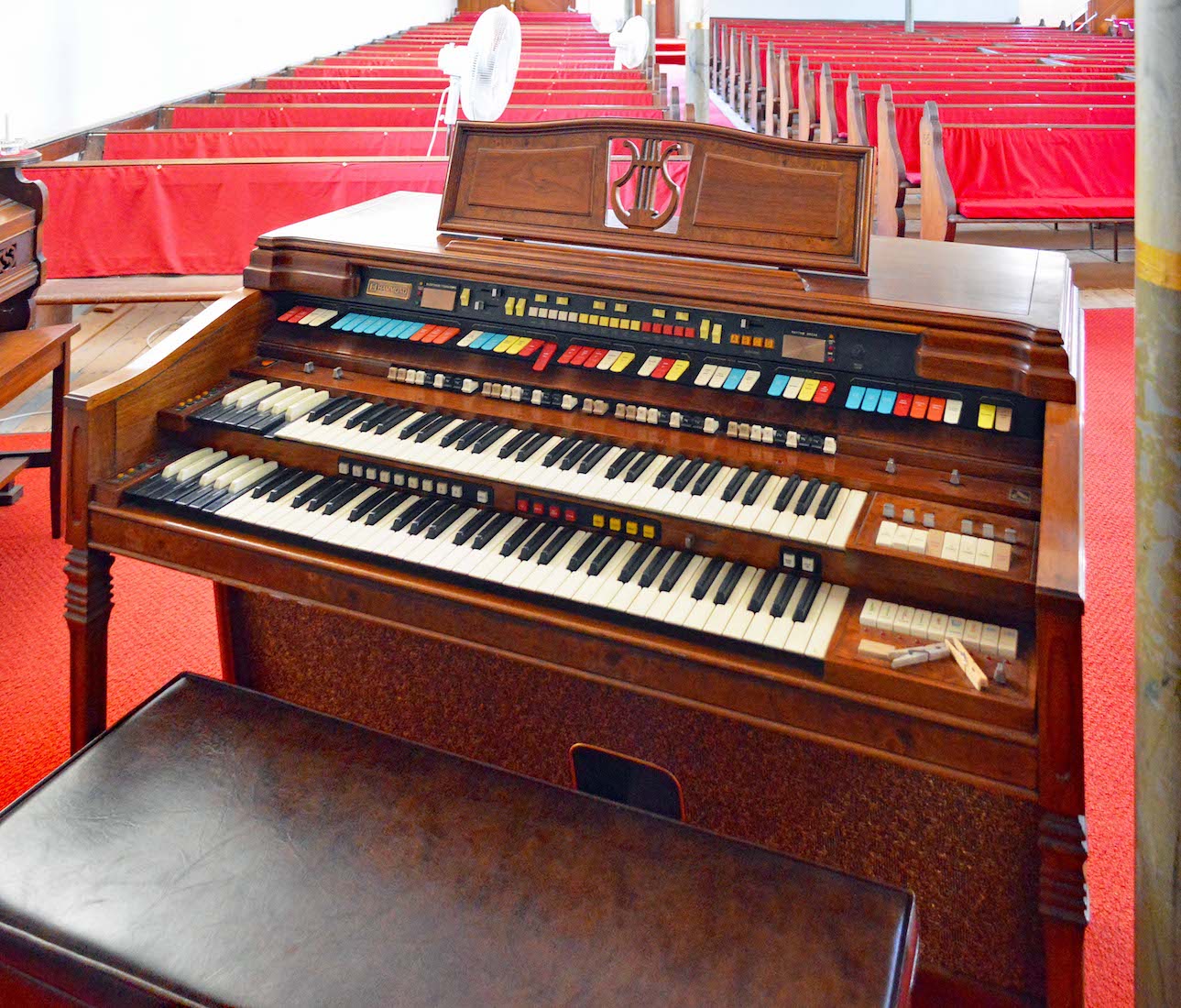 Organ