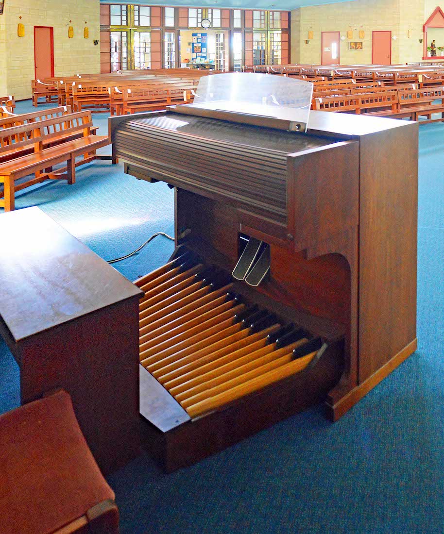 Organ