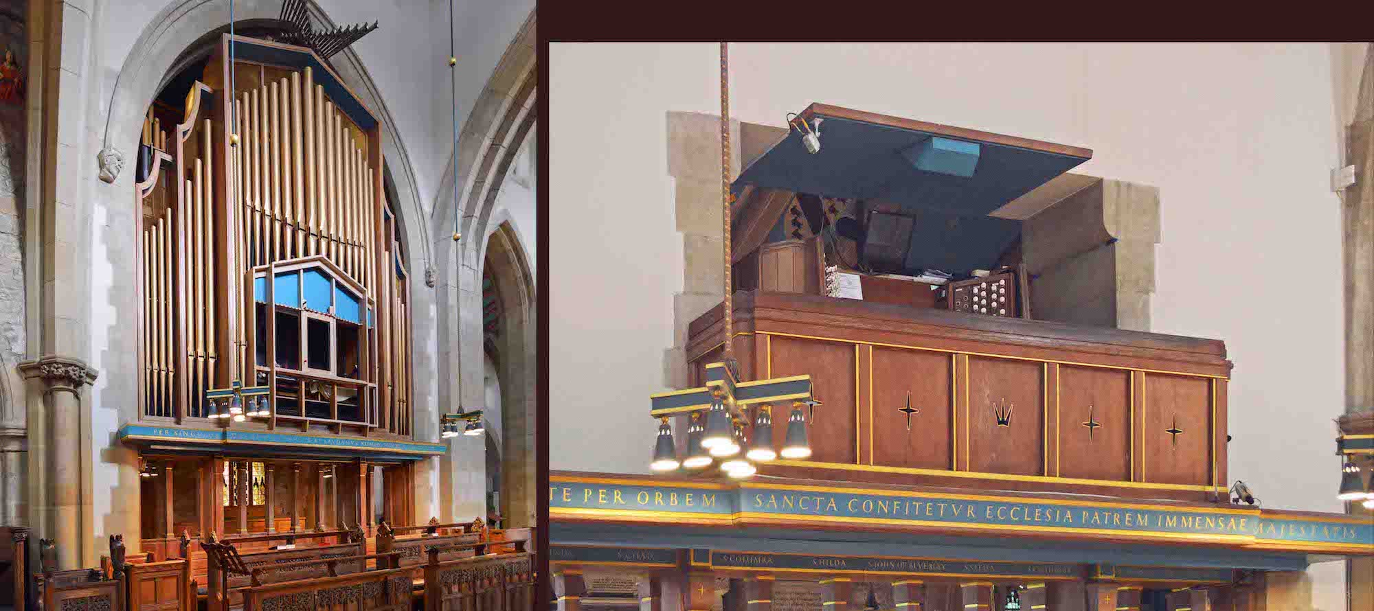 Organ