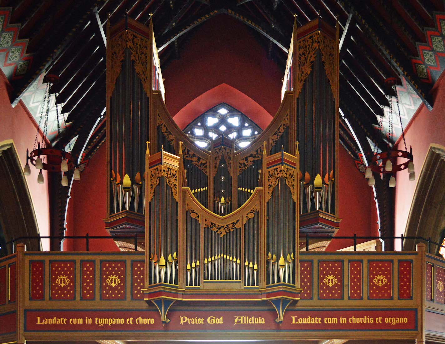 Organ