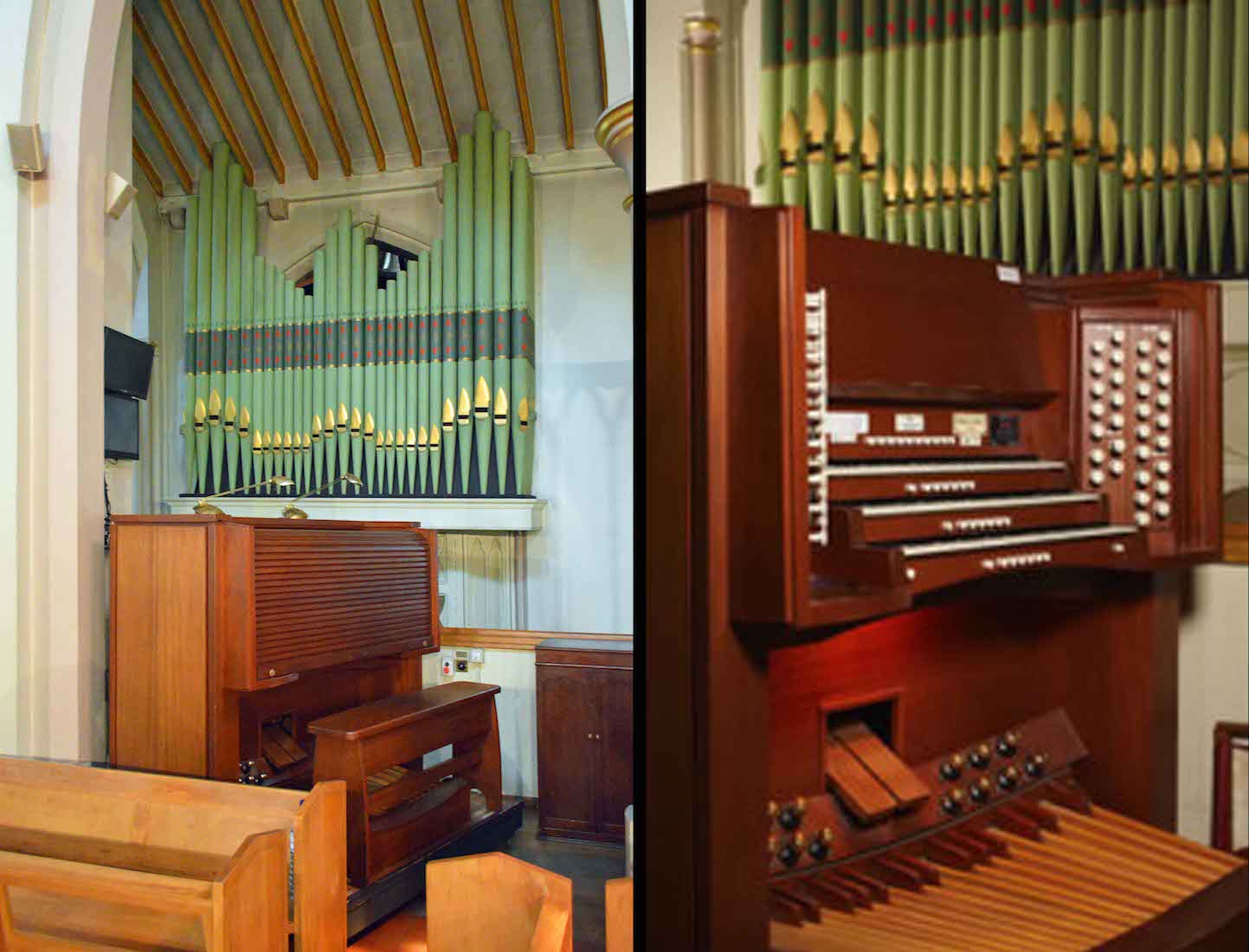 Organ1