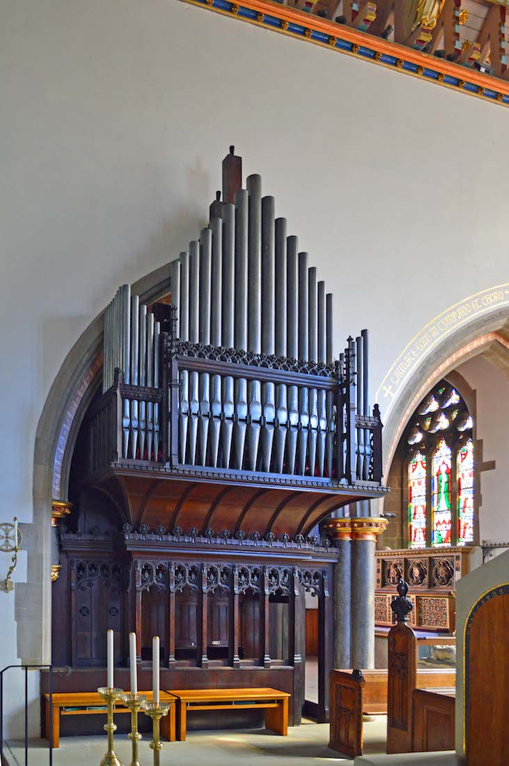 Organ