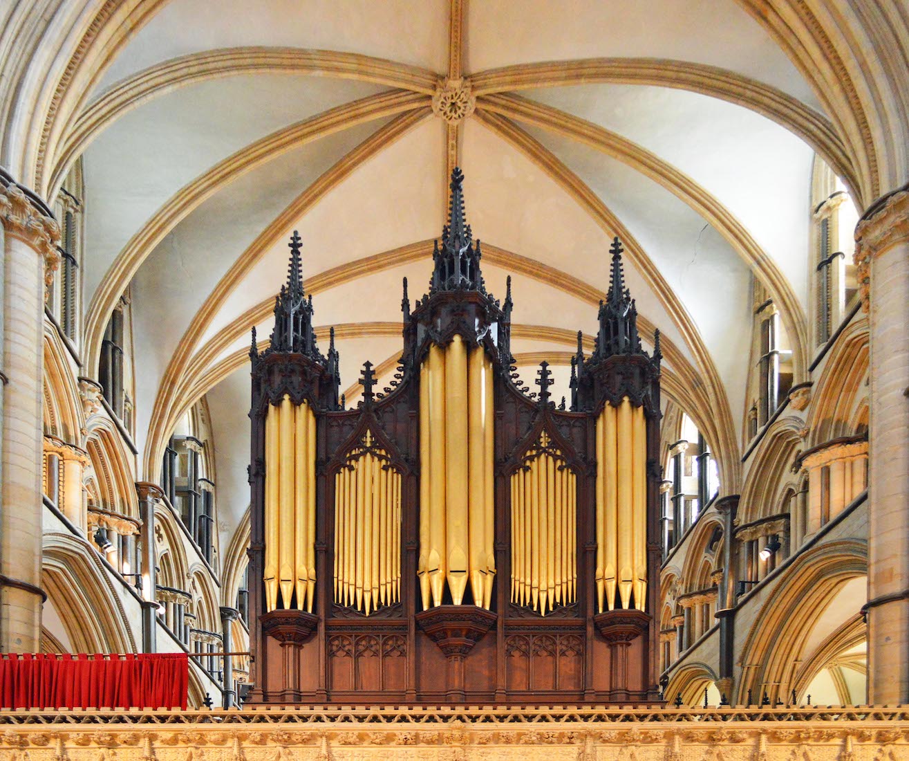 Organ