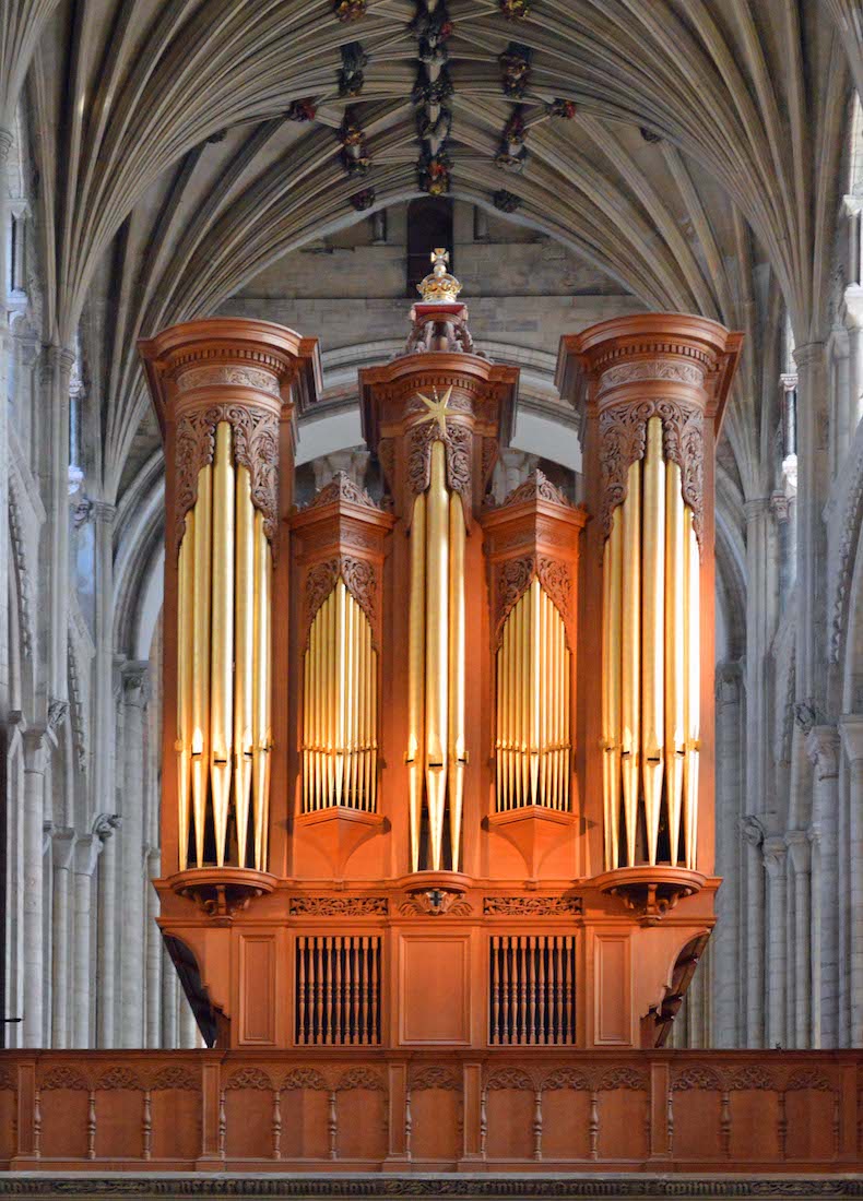 Organ