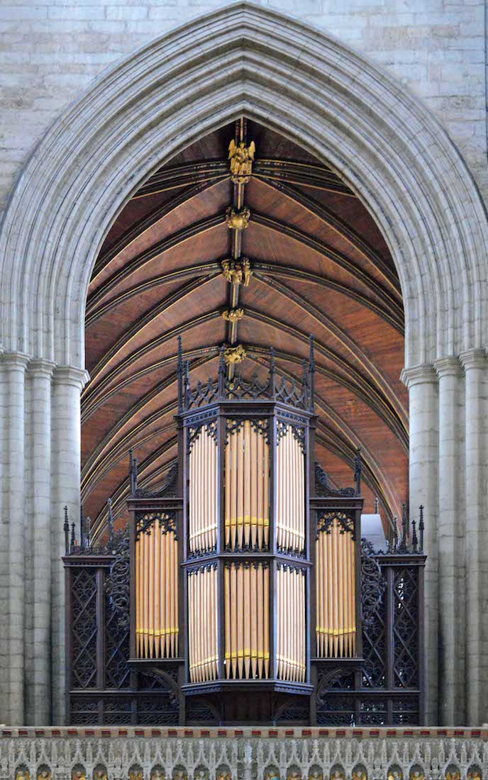 Organ