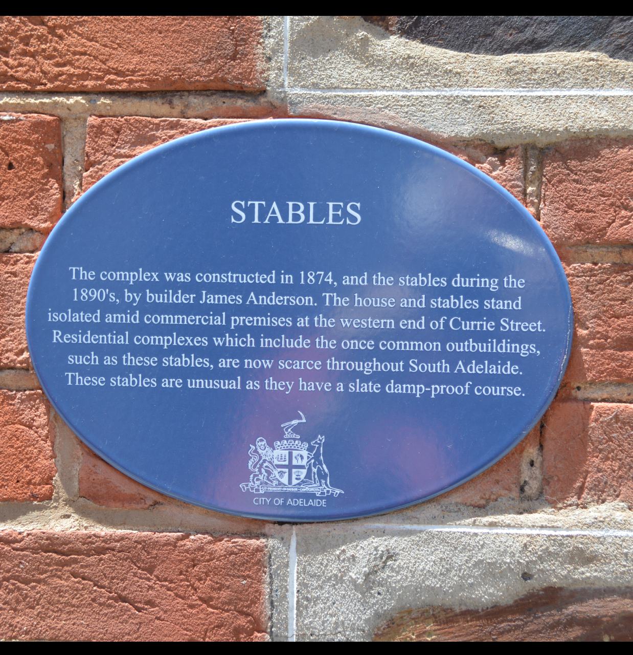 DH5StablePlaque