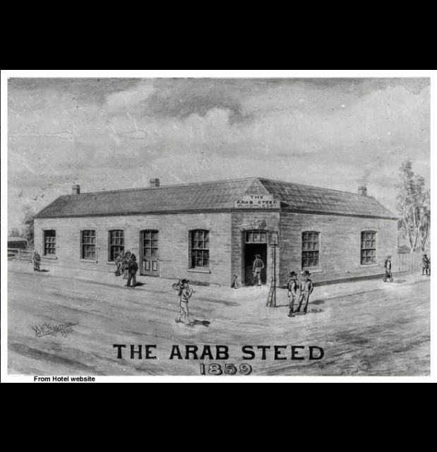 ArabSteedOld