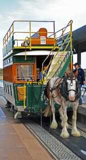 HorseTram